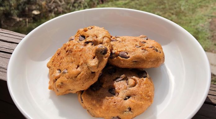 Fall Pumpkin Chocolate Chip Cookies Deliciousness