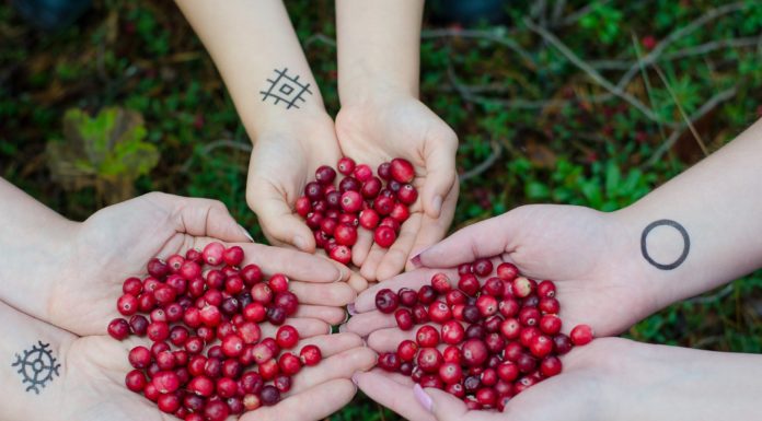 Bitter Foods That Are Great For You