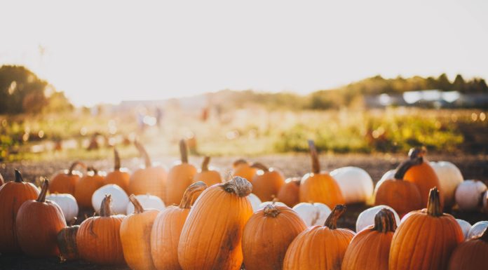 Why You Should Be Eating Seasonal Food