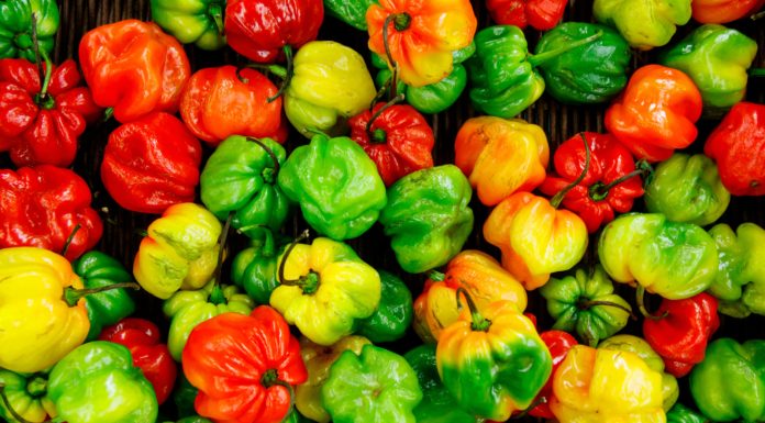 Which Foods Have the Most Alkaline?