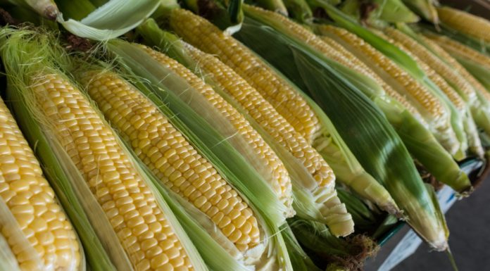 3 Foods You Didn’t Know You Could Store in the Freezer