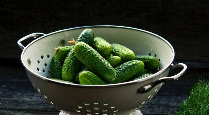 Explaining the Most Popular Pickle Varieties