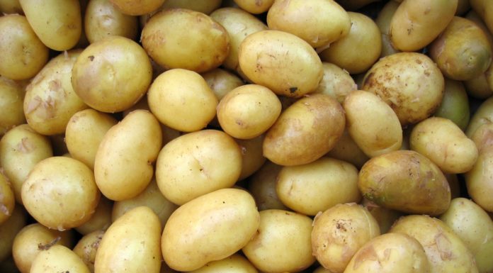 The Scalloped Potatoes are So Easy to Make