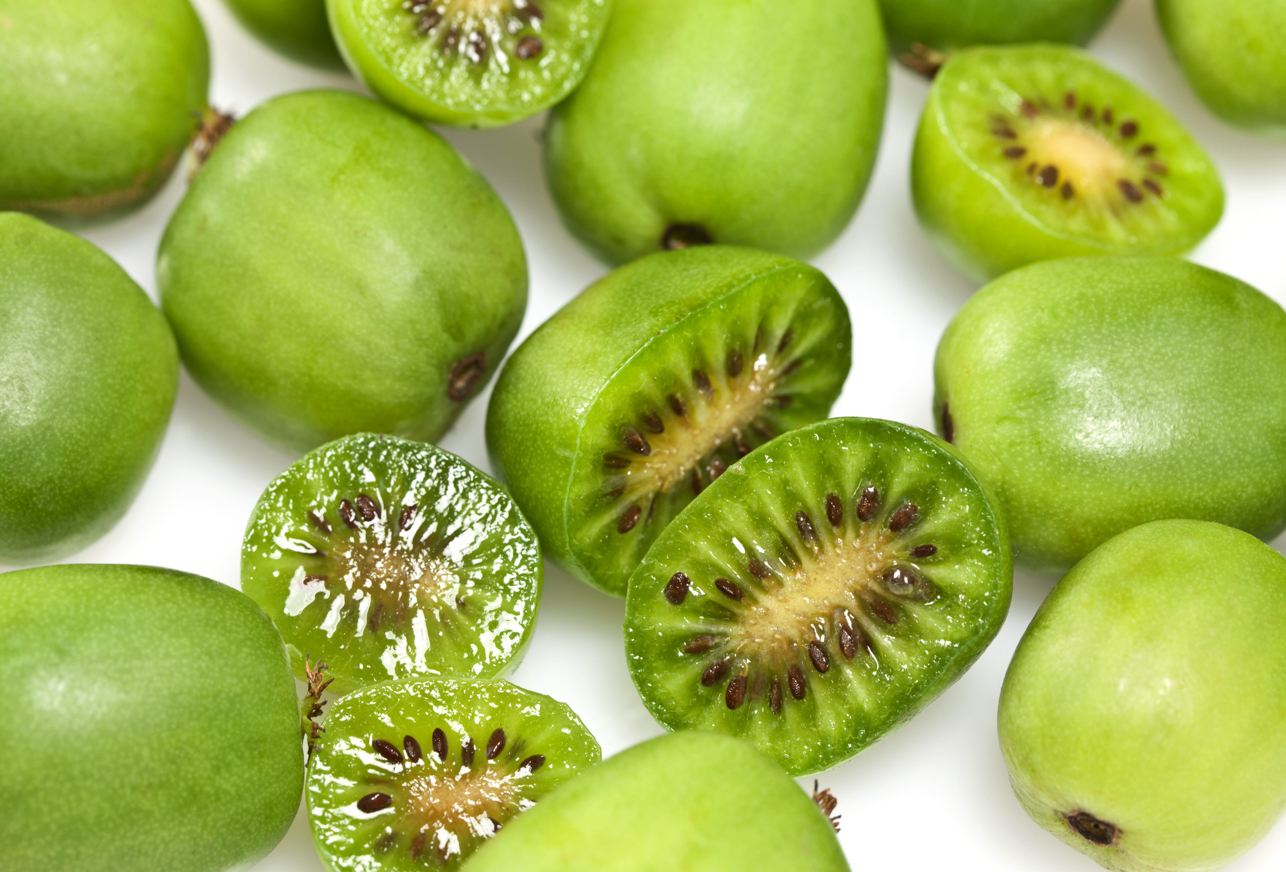 baby-kiwis-are-a-pint-sized-treasure-thedancingcucumber