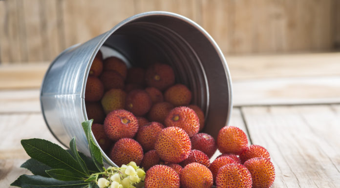 Ever Heard of a Cane Apple Before?