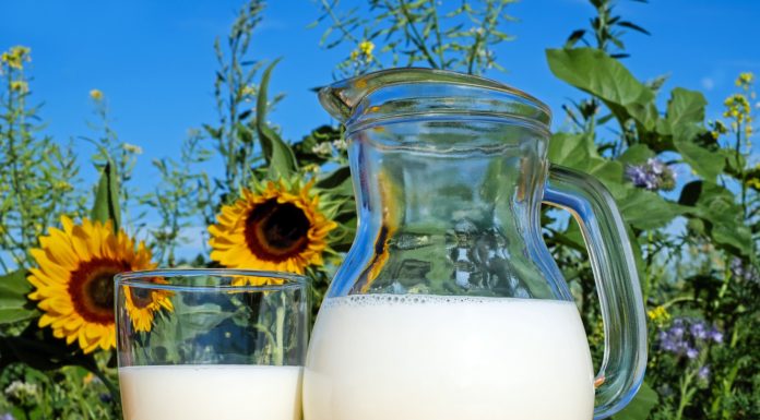 Pea Milk is the Newest Innovation in Plant-Based Milks