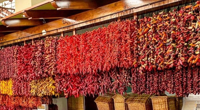 Enjoy Some Memorable Food Experiences with These Viral Bloggers