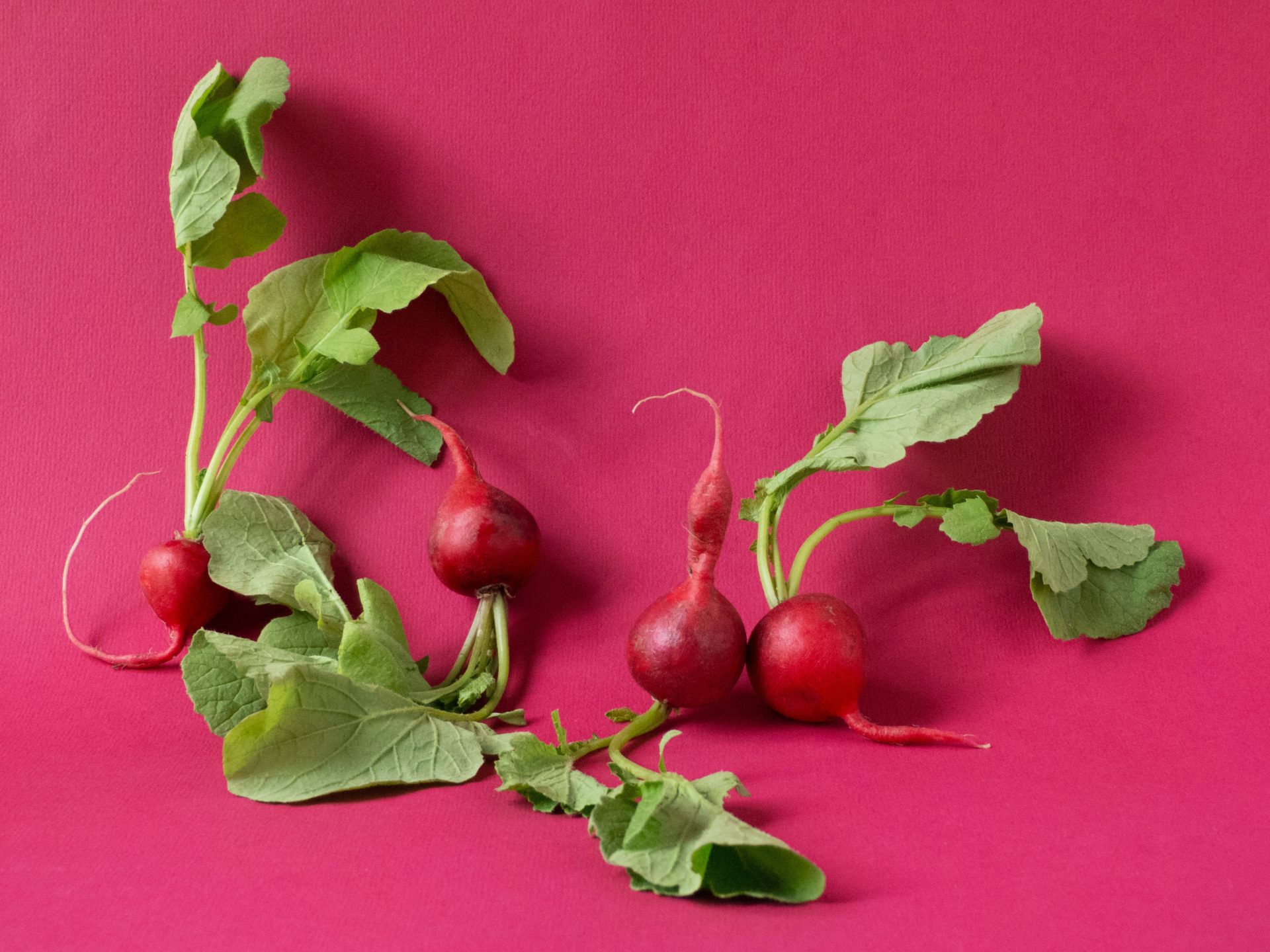 Best Ways to Eat Radishes This Fall