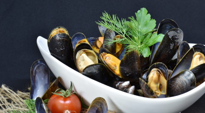 3 Reasons Why Mussels are an Underrated Superfood