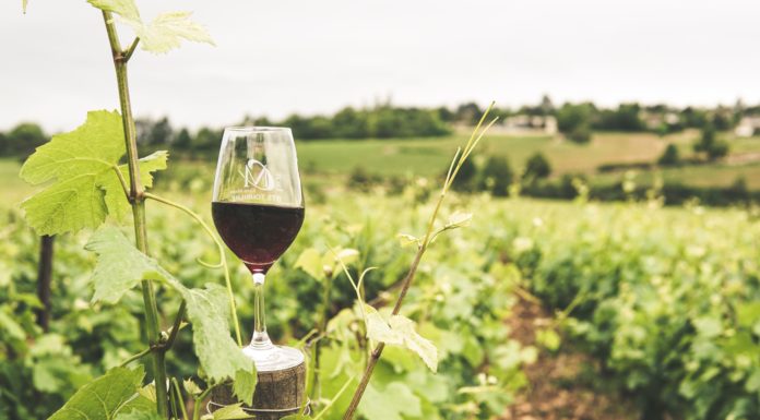 Step Up Your Wine Game with Penny Sadler