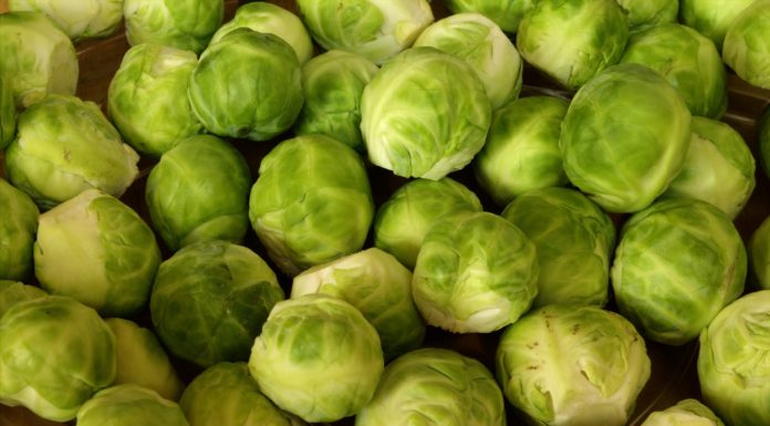 You Have to Try Instagram’s Most Popular Brussels Sprouts Recipes