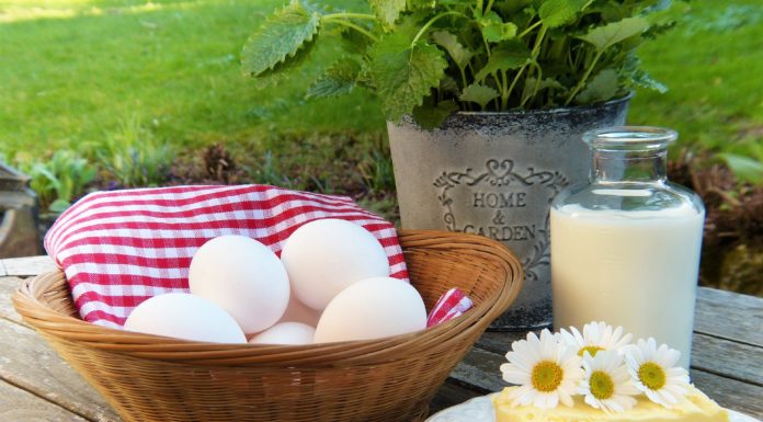 Top 5 Foods for Strong Bones