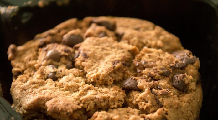 Melissa Stadler’s Chocolate Chip Cookies Are Large and In Charge