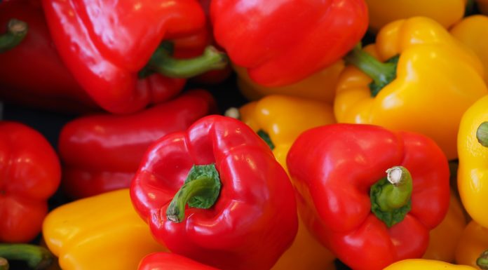 Bell Pepper Fritters Are Quick and Easy Vegetarian Dish