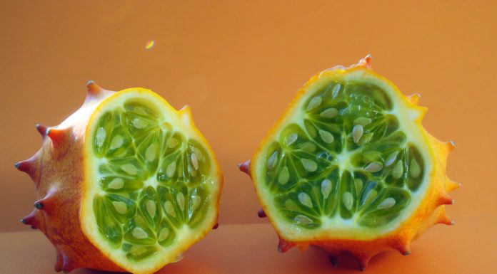 Exotic African Fruits You Need to Try