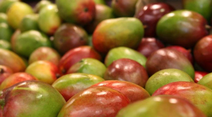 This Guide Will Help You Tell If a Mango is Ripe Mango tips