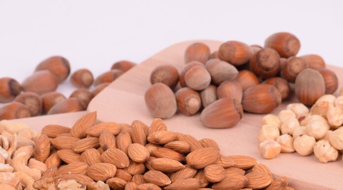 Healthy Snacks in The Shape of Seeds and Nuts Nuts