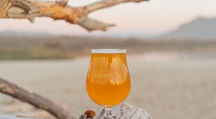 Make Your Own Grapefruit Shandy! How to make a grapefruit shandy