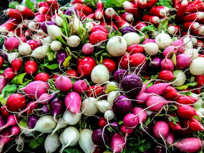 Spring fruits and vegetables: Radishes