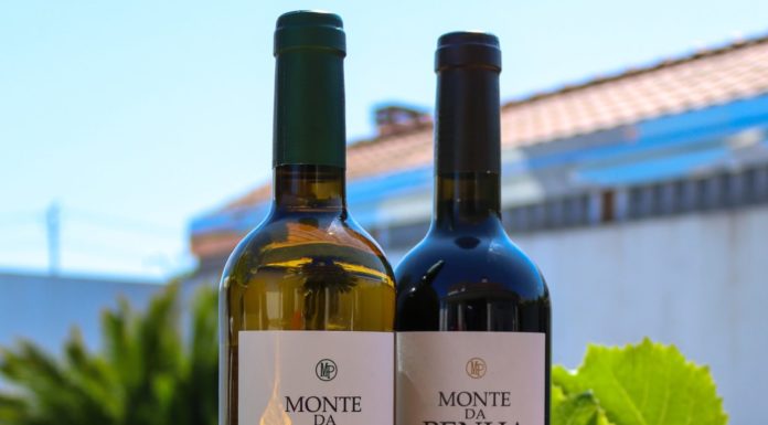 Visiting Portugal as a Wine Lover Portalegre, Portugal