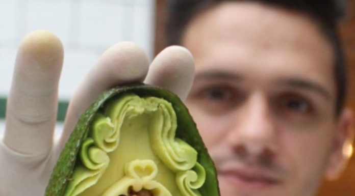 Italian Artist Makes Creative Carvings With Avocados