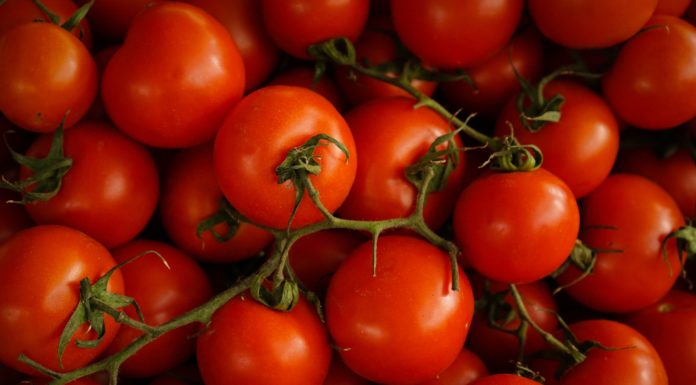The Actual Best Way to Eat a Tomato Tomatoes