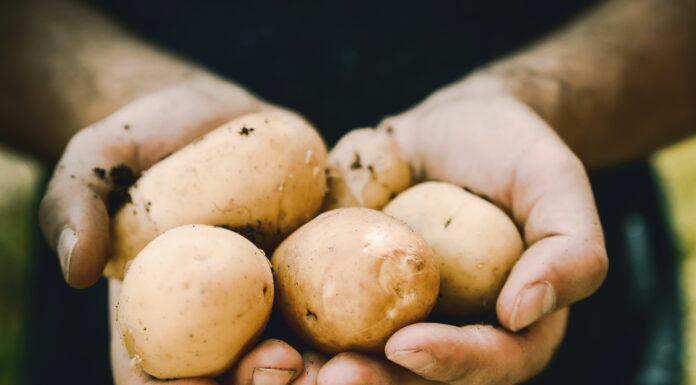 Three Soup Recipes That Use Up Potato Potatoes