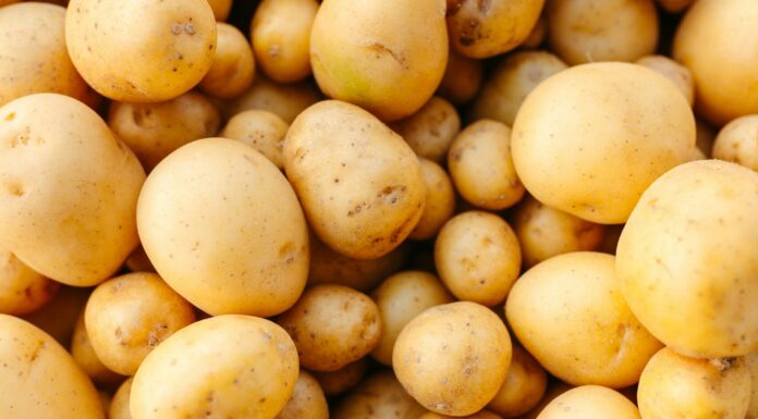 Loaded Potato Skins Potatoes