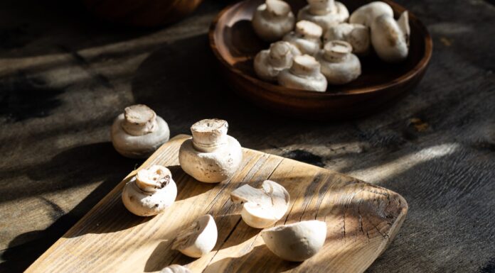 5 Common Mistakes to Avoid When Cooking Mushrooms Mushrooms
