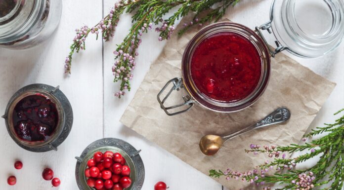 3 Festive Sauces for Your Feast Cranberry sauce