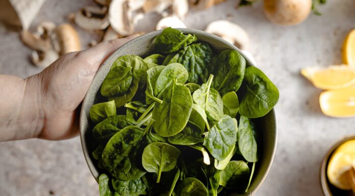 Nutritious and Delicious Spinach Recipes Worth Trying spinach