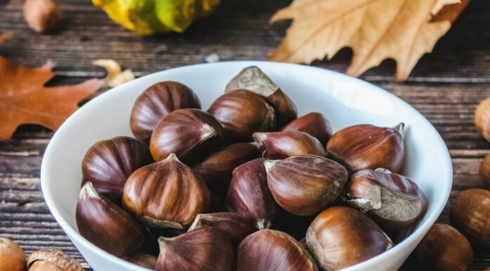 3 Best Snacks to Eat By the Fireplaces This Winter Chestnuts