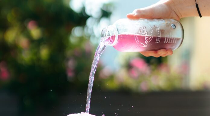Prebiotic Soda is Trending, Here’s Three Reasons Why You Should Try It prebiotic soda