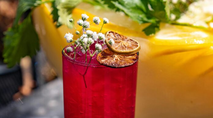 This Sea Breeze Cocktail is the Perfect Summer Drink Red Glass with Garnished Beverage