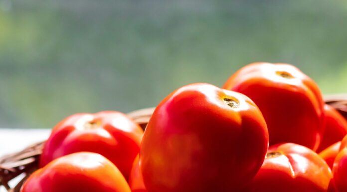 5 Ways to Keep Your Tomatoes Fresh for as Long as Possible Tomatoes