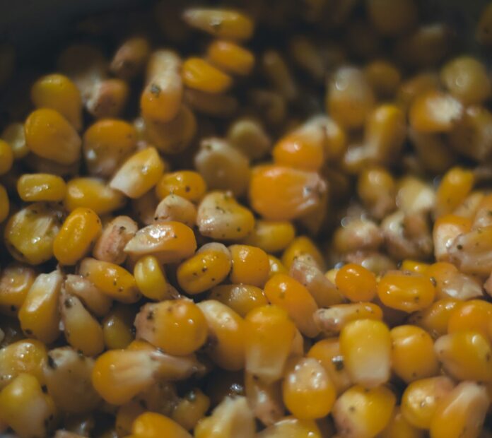 Corn